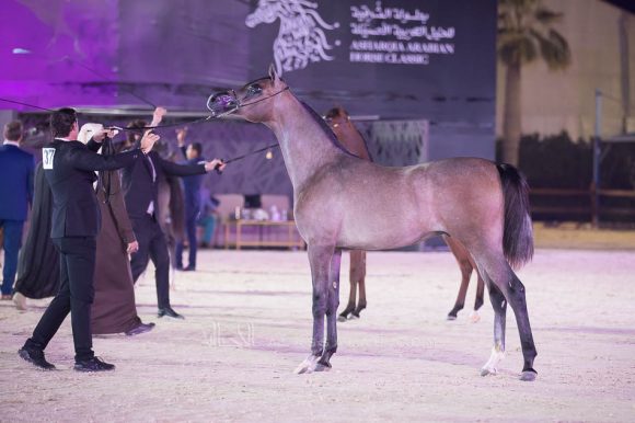 ISSS4601الشرقية