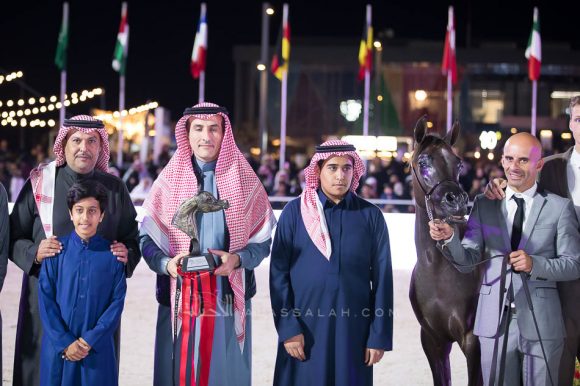 اركان بي اتش ام (اليكاسندر x اليجرا) مربط علي غانم المزروعي – الإمارات