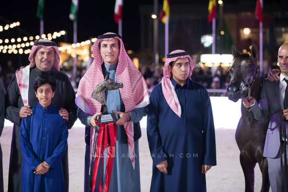 اركان بي اتش ام (اليكاسندر x اليجرا) مربط علي غانم المزروعي – الإمارات