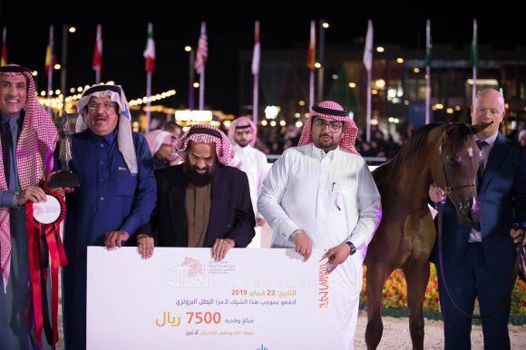 مشهور العنان (سانتوريني  x كيرا بي اف ايه) مربط سامي بن عبد الله محمد القاضي– السعودية