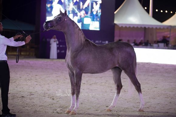 ISSS4654الشرقية