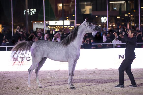 ISSS4660الشرقية