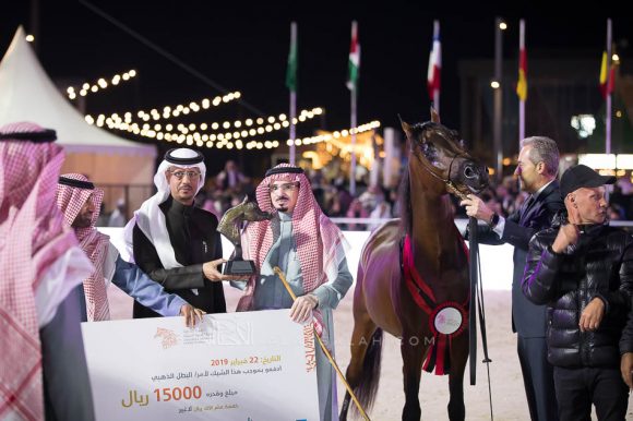 وجيه الخالدية (رازي الخالدية x بشرى الخالدية) إسطبلات الخالدية – السعودية