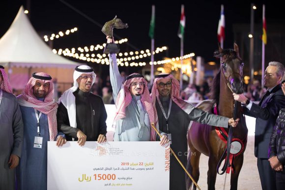 وجيه الخالدية (رازي الخالدية x بشرى الخالدية) إسطبلات الخالدية – السعودية