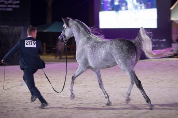 ISSS4725الشرقية