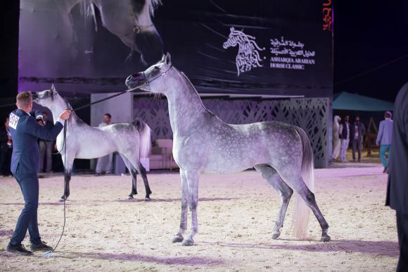 ISSS4744الشرقية