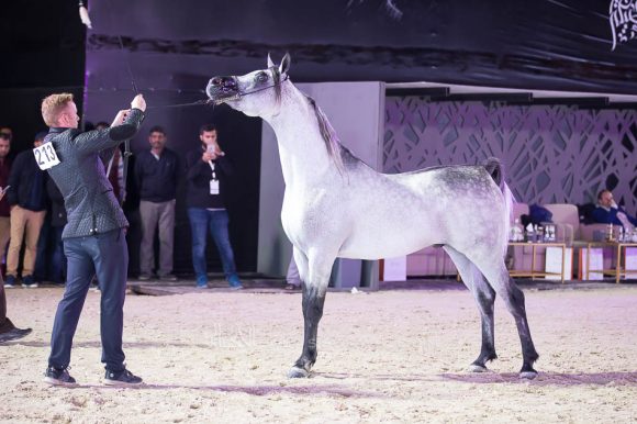 ISSS4746الشرقية