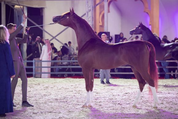 ISSS4757الشرقية