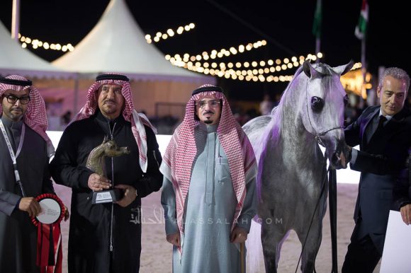 يعسوب المعود  (شنغهاي إي ايه  x اليشا) إسطبلات الخالدية – السعودية