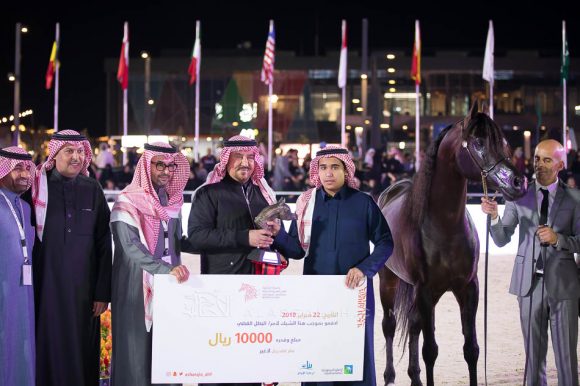 مجيك اوف شوان (اف إي الشوان  x دبليو ايه برسيلا) إسطبلات السكب– السعودية