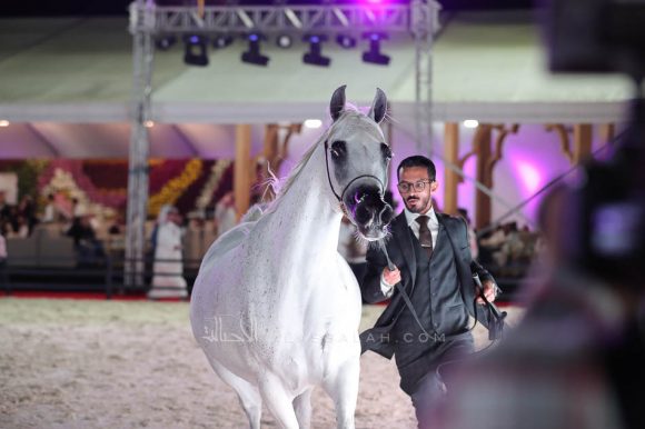 الشرقيةA83I0144