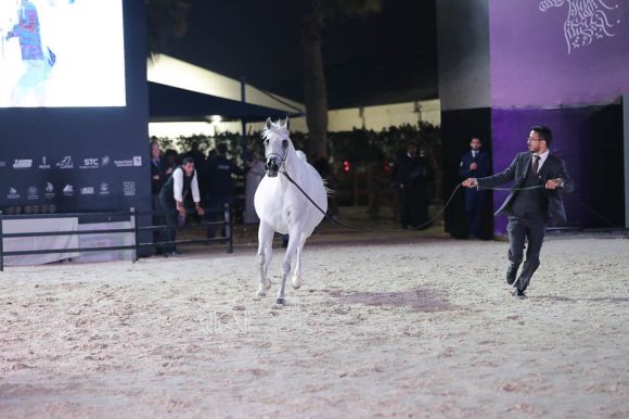 الشرقيةA83I0171