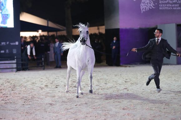 الشرقيةA83I0183