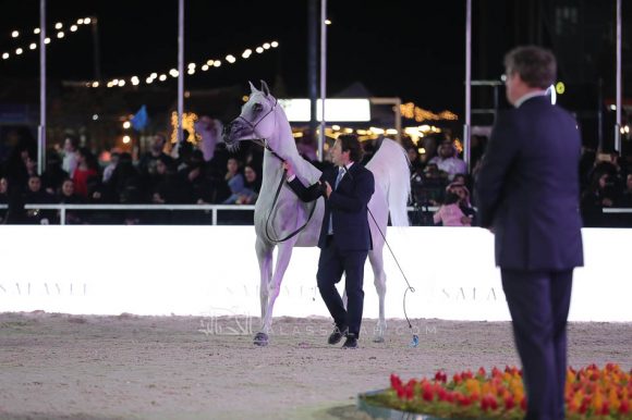 الشرقيةA83I0269