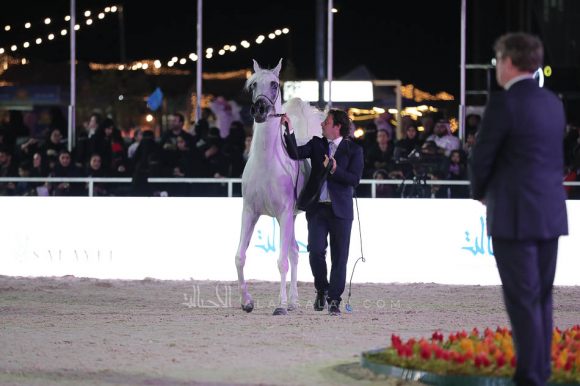 الشرقيةA83I0276