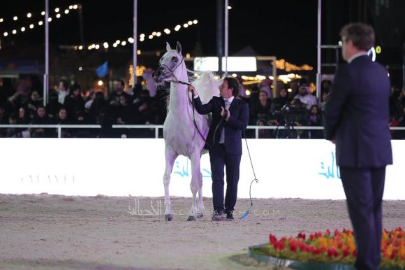 الشرقيةA83I0279