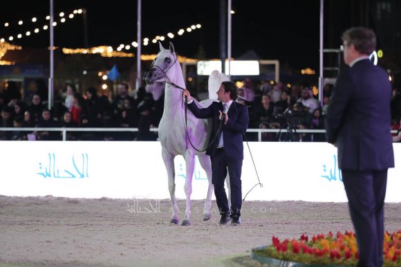 الشرقيةA83I0284