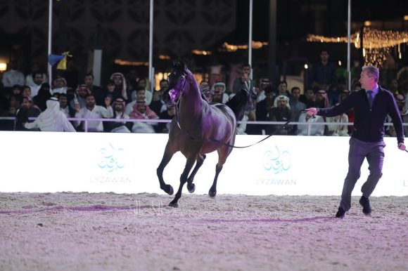 الشرقيةA83I0375