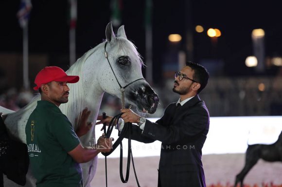 الشرقيةA83I0519