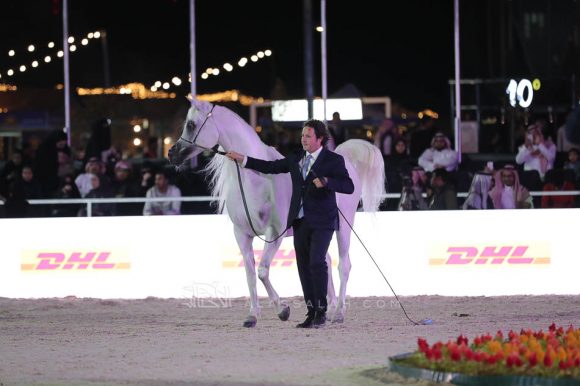 الشرقيةA83I0696