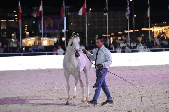 الشرقيةA83I0868