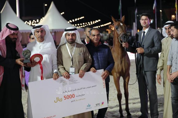 الشرقيةA83I1015