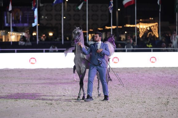 الشرقيةA83I1073