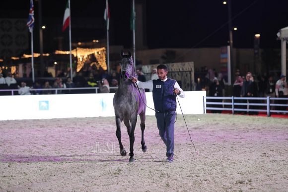 الشرقيةA83I1101