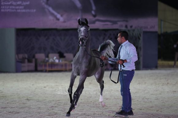 الشرقيةA83I1200