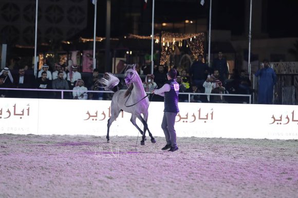 الشرقيةA83I1368