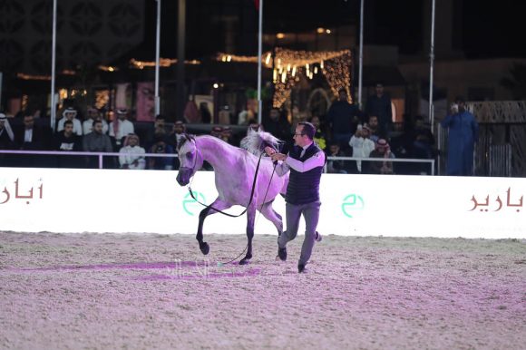 الشرقيةA83I1373