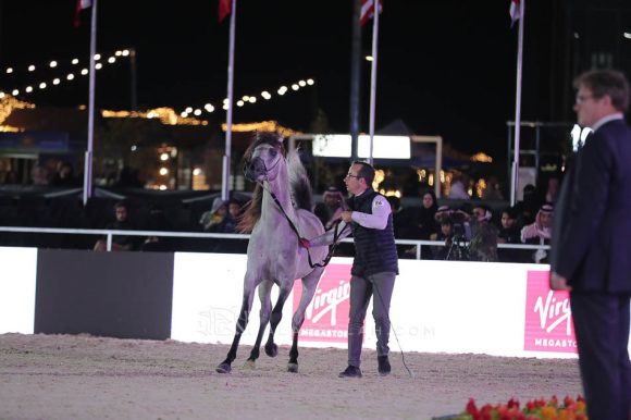 الشرقيةA83I1425