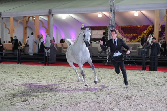 الشرقيةA83I1605