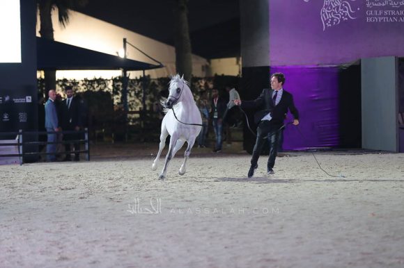 الشرقيةA83I1624