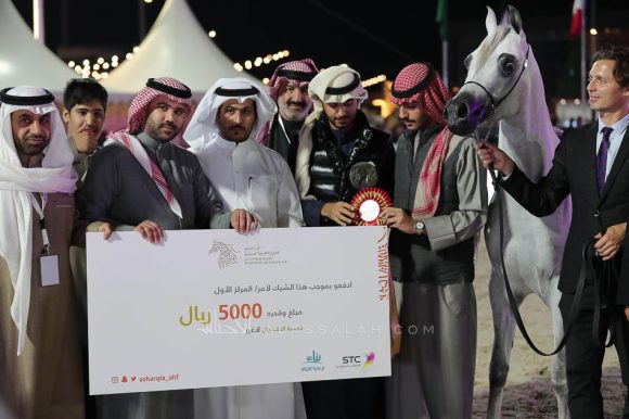 الشرقيةA83I1798