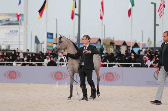 الشرقيةA83I7510