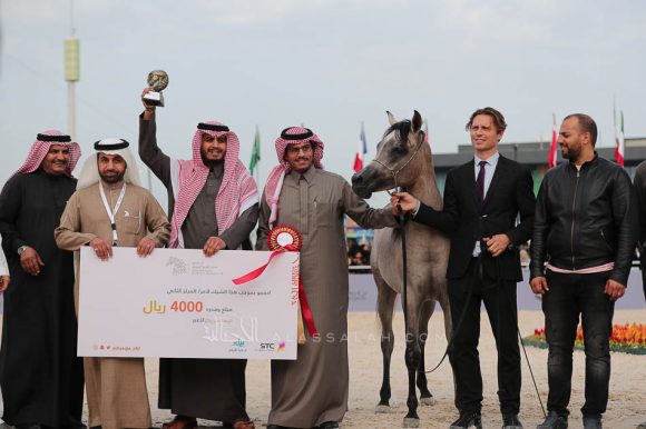 الشرقيةA83I7535