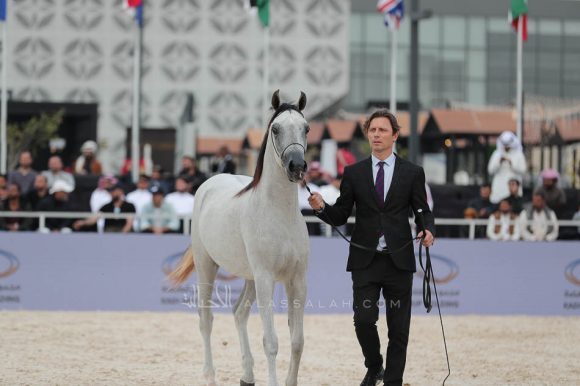 الشرقيةA83I7636