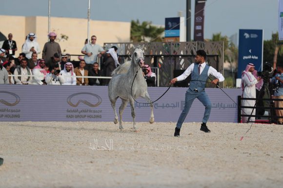 الشرقيةA83I7745