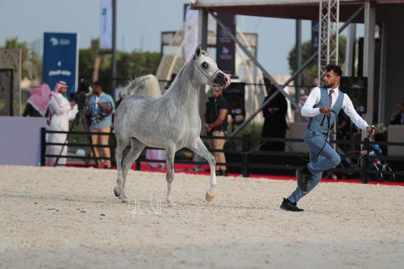 الشرقيةA83I7757