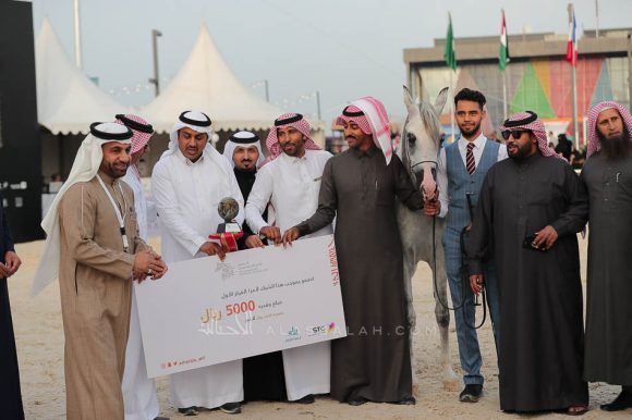 الشرقيةA83I7856