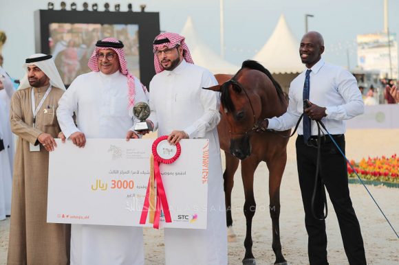 الشرقيةA83I7875