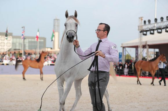 الشرقيةA83I8011