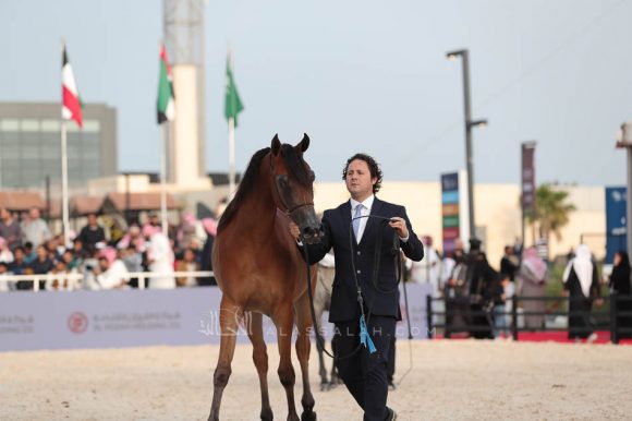 الشرقيةA83I8030