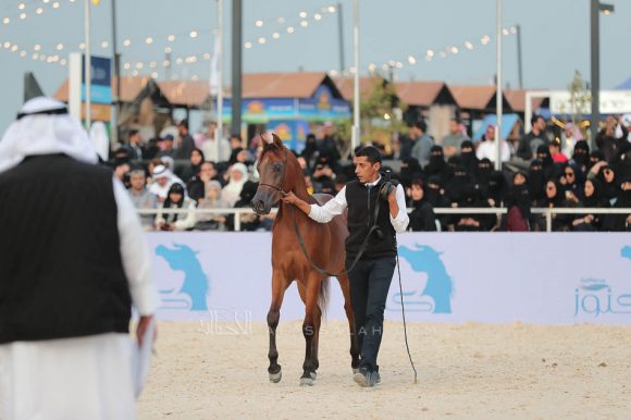 الشرقيةA83I8264