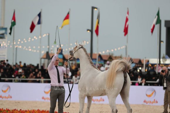 الشرقيةA83I8485