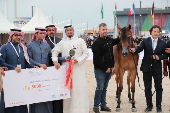 الشرقيةA83I8502