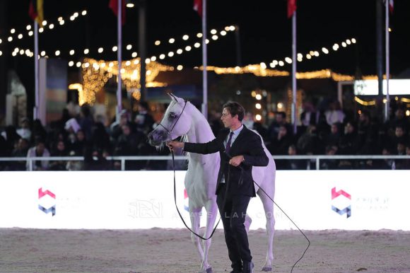 الشرقيةA83I9671