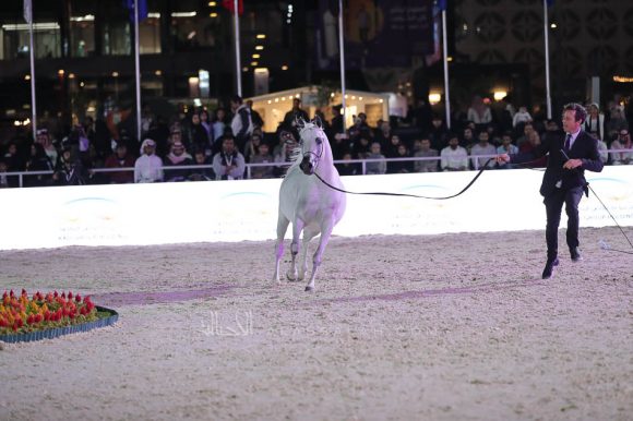 الشرقيةA83I9711