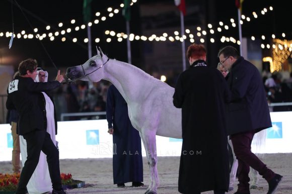 الشرقيةA83I9755